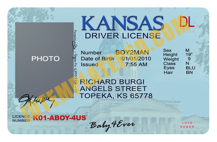 driver license photoshop template
